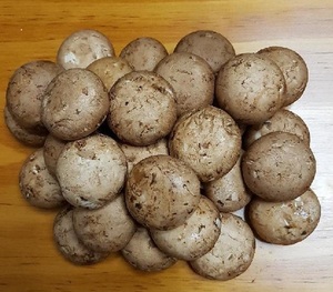 무농약 보령 생양송이버섯2kg